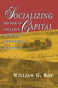 bokomslag Socializing Capital