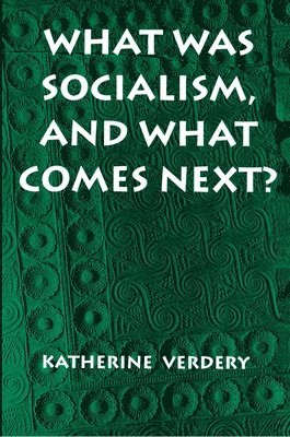 Katherine Verdery - What Was Socialism, and What Comes Next?, Häftad
