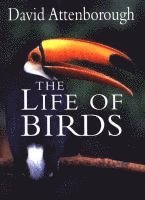 bokomslag The Life of Birds