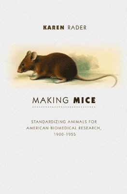 Making Mice 1