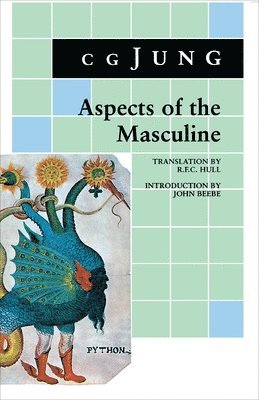 bokomslag Aspects of the Masculine