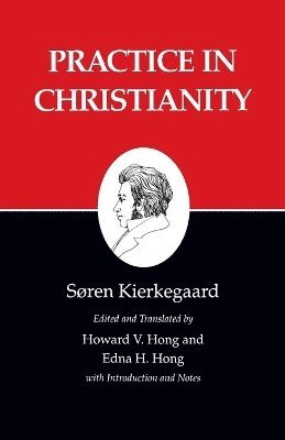 Kierkegaard's Writings, XX, Volume 20 1
