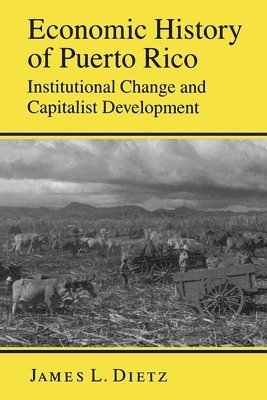 James L. Dietz - Economic History of Puerto Rico, Häftad
