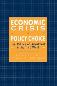 bokomslag Economic Crisis and Policy Choice