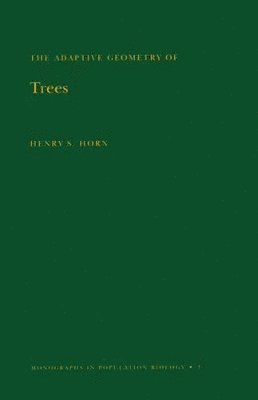 Adaptive Geometry of Trees (MPB-3), Volume 3 1