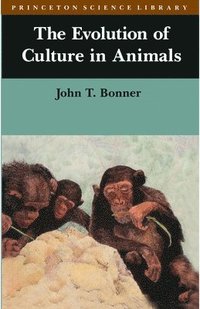 bokomslag The Evolution of Culture in Animals