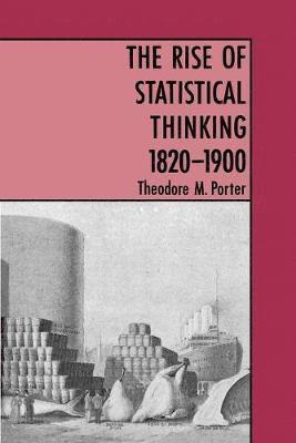 bokomslag The Rise of Statistical Thinking, 1820-1900