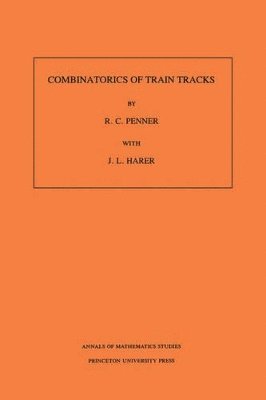 bokomslag Combinatorics of Train Tracks