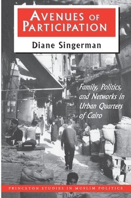 Diane Singerman - Avenues of Participation, Häftad