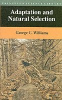 Adaptation and Natural Selection 1