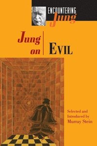 bokomslag Jung on Evil