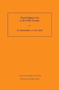 bokomslag Period Spaces for p-divisible Groups