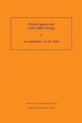 Michael Rapoport, Thomas Zink - Period Spaces for p-divisible Groups, Häftad