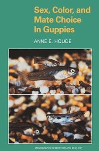 bokomslag Sex, Color, and Mate Choice in Guppies