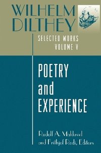 bokomslag Wilhelm Dilthey: Selected Works, Volume V