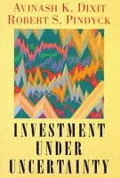 bokomslag Investment under Uncertainty