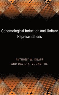 bokomslag Cohomological Induction and Unitary Representations (PMS-45), Volume 45