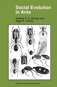 bokomslag Social Evolution in Ants