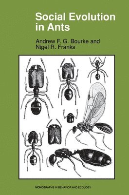 Andrew F.G. Bourke, Nigel R. Franks - Social Evolution in Ants, Häftad
