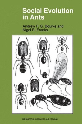 Social Evolution in Ants 1