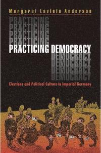 bokomslag Practicing Democracy