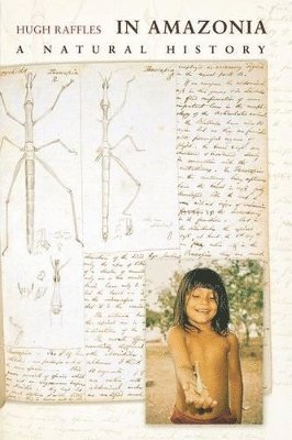 Hugh Raffles - In Amazonia, Häftad