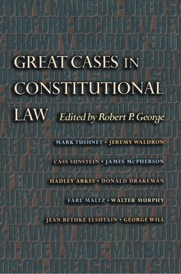 bokomslag Great Cases in Constitutional Law