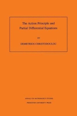 Demetrios Christodoulou - Action Principle and Partial Differential Equations, Häftad