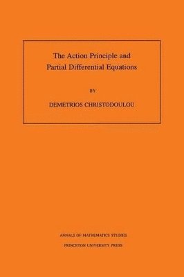 The Action Principle and Partial Differential Equations 1