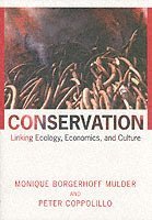 bokomslag Conservation
