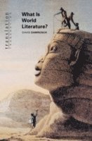 bokomslag What Is World Literature?