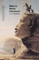 David Damrosch - What Is World Literature?, Häftad