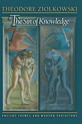 bokomslag The Sin of Knowledge