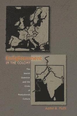 Aamir R. Mufti - Enlightenment in the Colony, Häftad