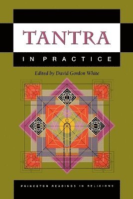 bokomslag Tantra in Practice