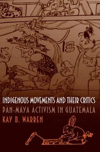 bokomslag Indigenous Movements and Their Critics