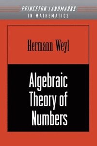 bokomslag Algebraic Theory of Numbers