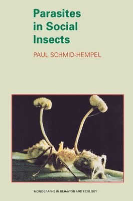 Paul Schmid-Hempel - Parasites in Social Insects, Häftad