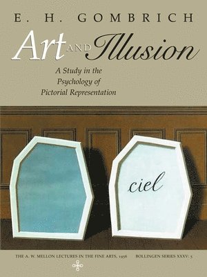 bokomslag Art and Illusion
