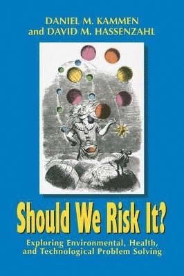 Daniel M. Kammen, David M. Hassenzahl - Should We Risk It?, Häftad