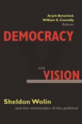 Democracy and Vision 1