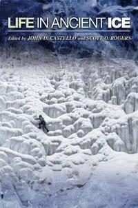 bokomslag Life in Ancient Ice