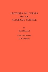 bokomslag Lectures on Curves on an Algebraic Surface