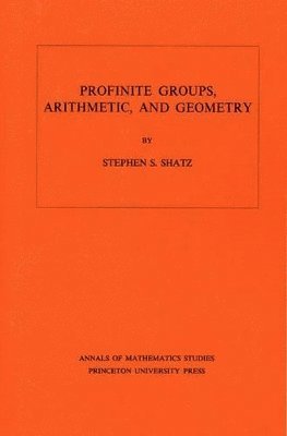 bokomslag Profinite Groups, Arithmetic, and Geometry