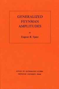 bokomslag Generalized Feynman Amplitudes