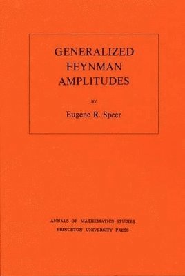 bokomslag Generalized Feynman Amplitudes