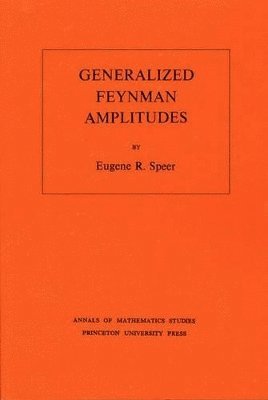 bokomslag Generalized Feynman Amplitudes