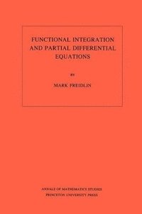 bokomslag Functional Integration and Partial Differential Equations