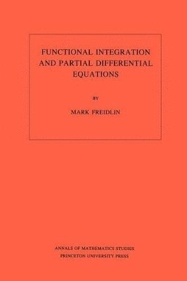 bokomslag Functional Integration and Partial Differential Equations