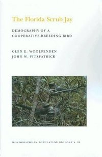 bokomslag The Florida Scrub Jay (MPB-20), Volume 20